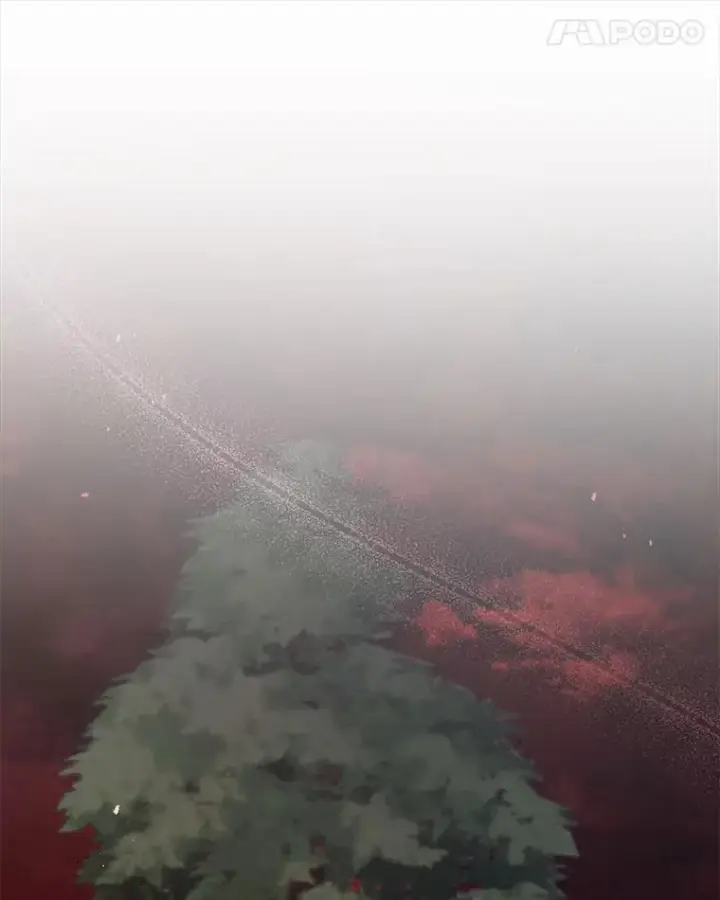 《死灵术师学院的召唤天才》115.逃离丧尸群图25