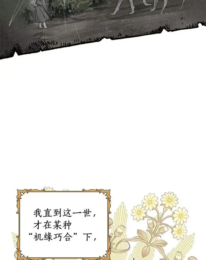 《私生公主的第十次人生》0.私生女安娜塔莎图18