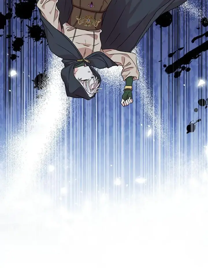 《私生公主的第十次人生》4.解救图60