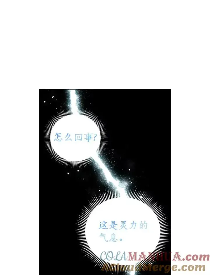 《私生公主的第十次人生》10.王宫庭园图93