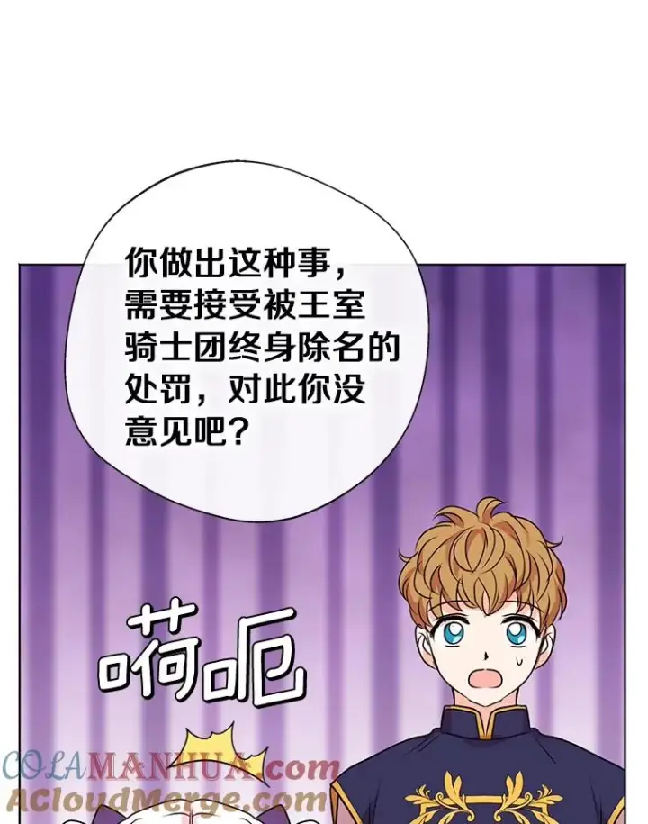 《私生公主的第十次人生》15.忠诚宣誓图29