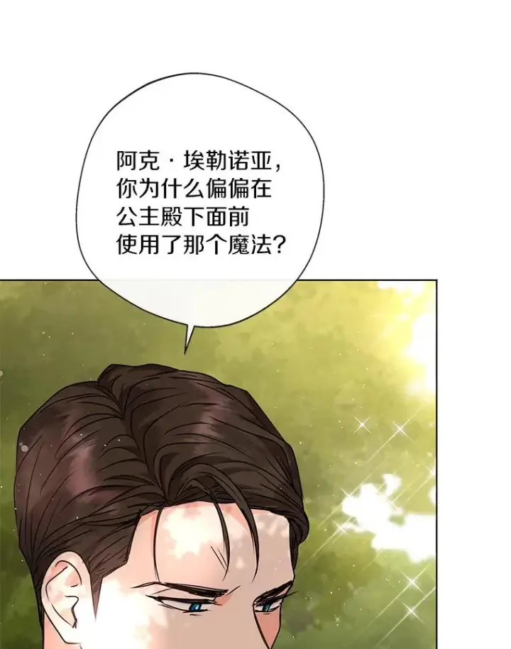 《私生公主的第十次人生》15.忠诚宣誓图43