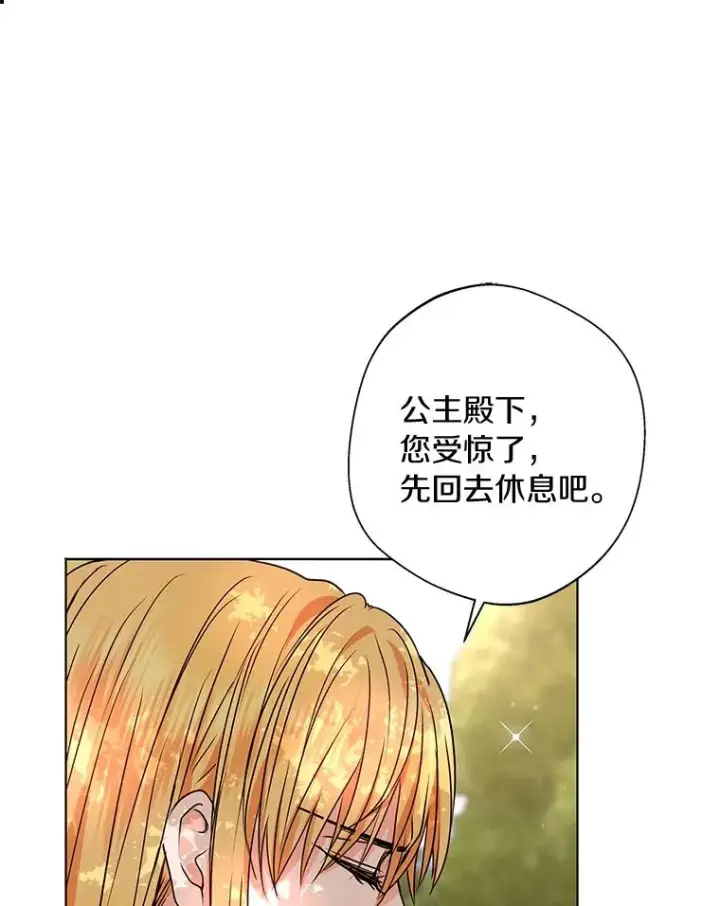 《私生公主的第十次人生》15.忠诚宣誓图74