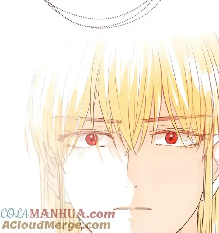 《私生公主的第十次人生》17.成为最强魔法师图13