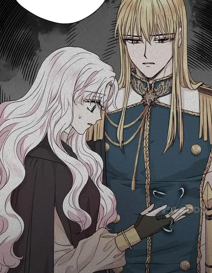《私生公主的第十次人生》17.成为最强魔法师图35