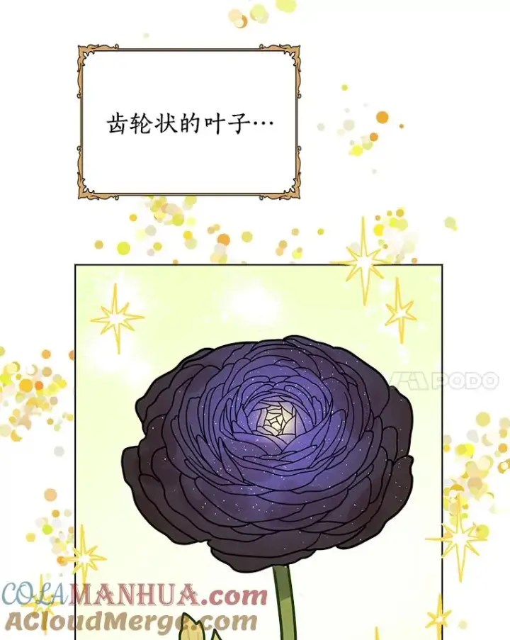 《私生公主的第十次人生》18.新芽庆典图97