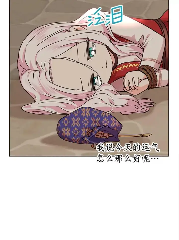 《私生公主的第十次人生》19.遭遇绑架图100