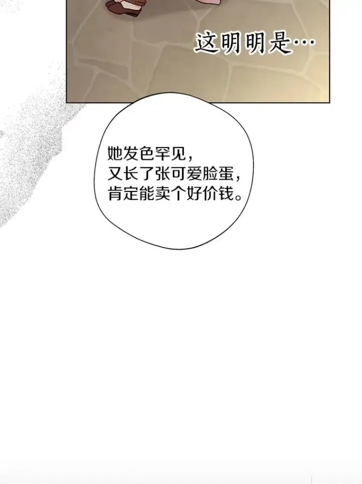 《私生公主的第十次人生》19.遭遇绑架图94