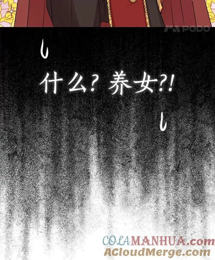 《私生公主的第十次人生》25.阴谋图37
