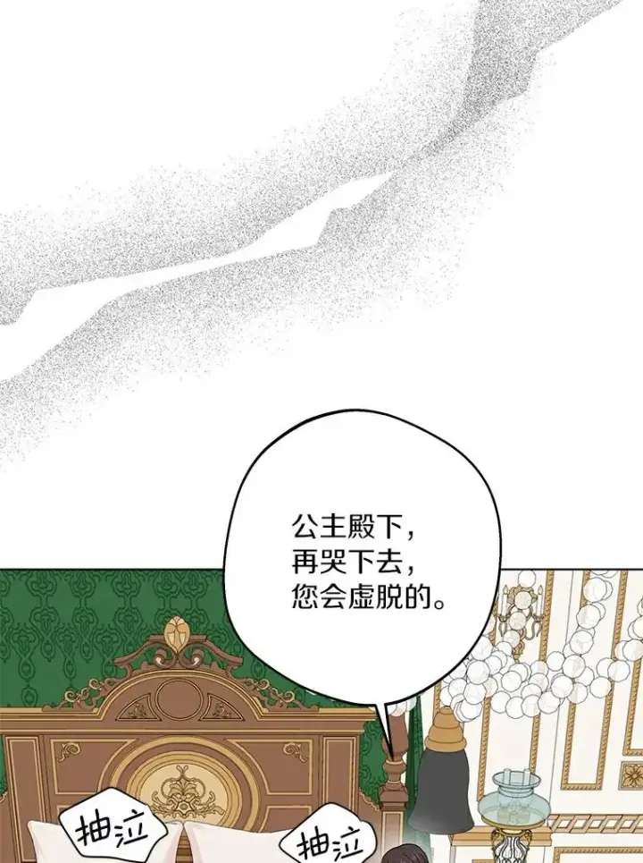 《私生公主的第十次人生》30.国务会议图8