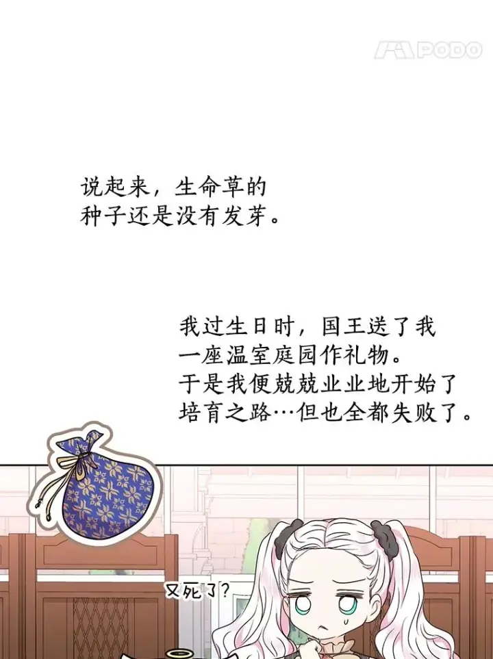 《私生公主的第十次人生》34.8岁的安莎图62