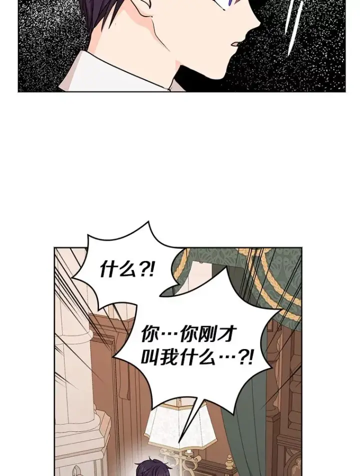 《私生公主的第十次人生》35.塔里的王子图108