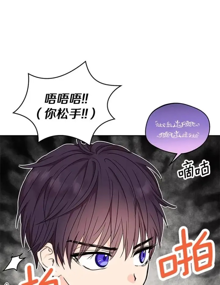 《私生公主的第十次人生》35.塔里的王子图15