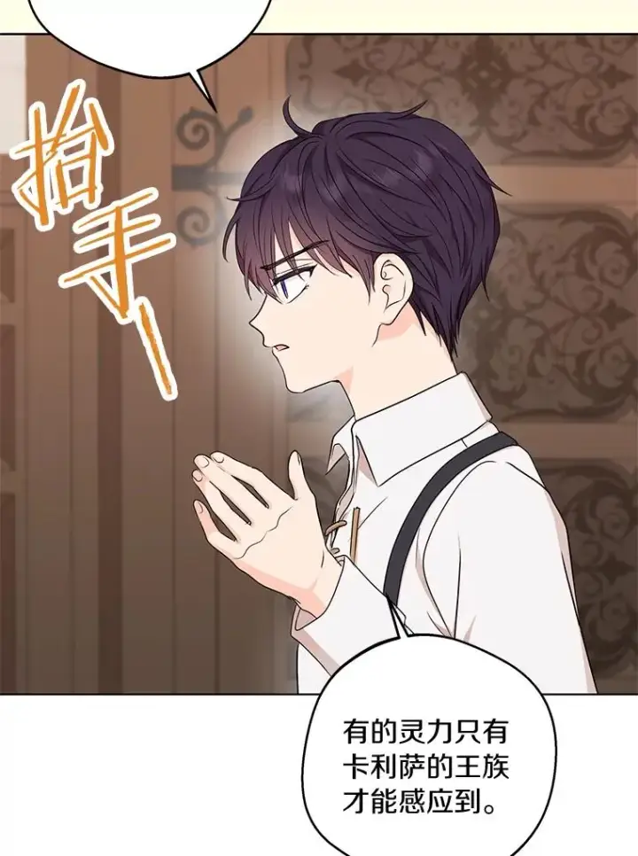 《私生公主的第十次人生》35.塔里的王子图42