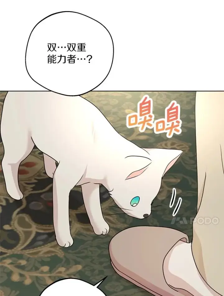 《私生公主的第十次人生》41.神兽九尾狐图104