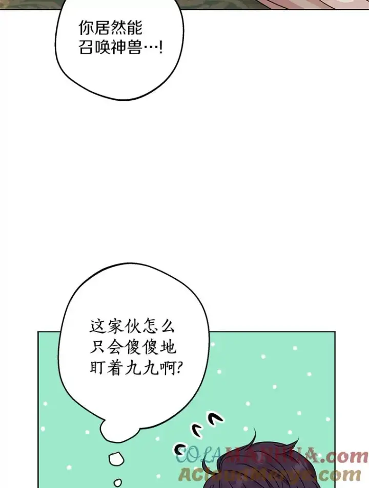 《私生公主的第十次人生》41.神兽九尾狐图105