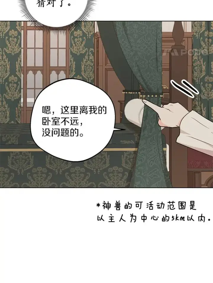 《私生公主的第十次人生》41.神兽九尾狐图111