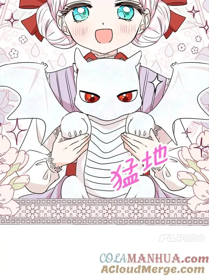 《私生公主的第十次人生》41.神兽九尾狐图17