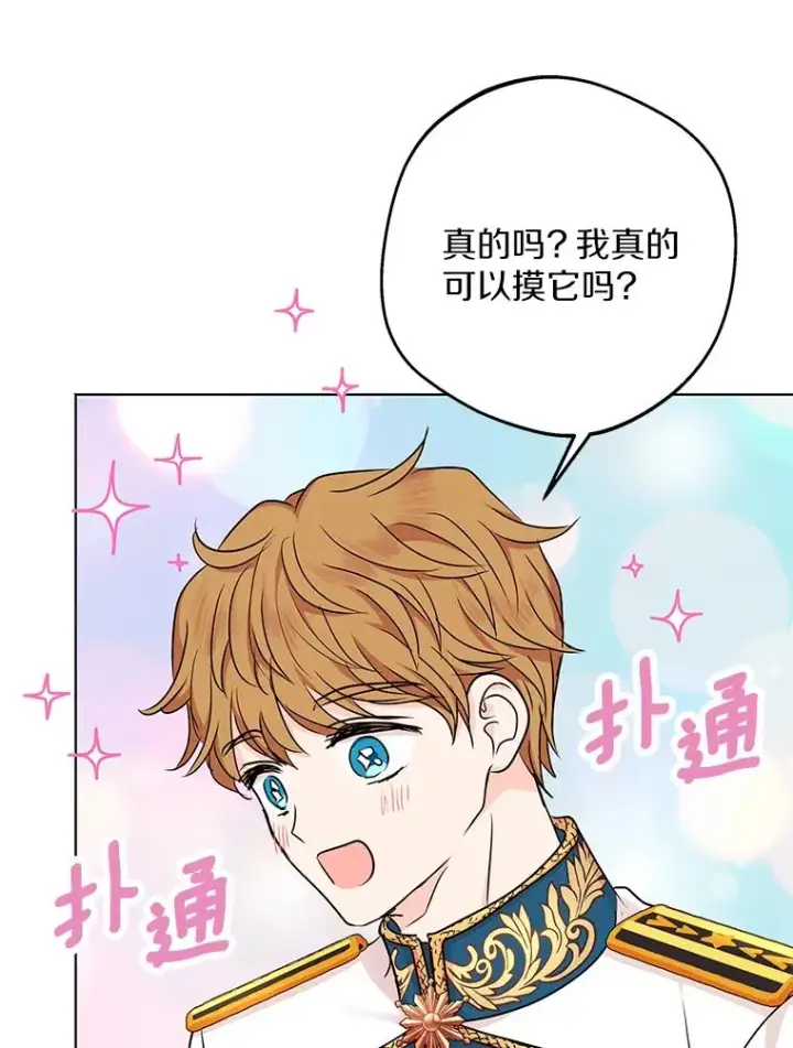 《私生公主的第十次人生》41.神兽九尾狐图18