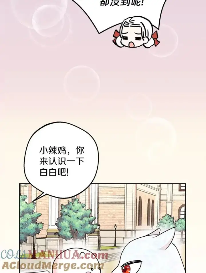《私生公主的第十次人生》41.神兽九尾狐图29