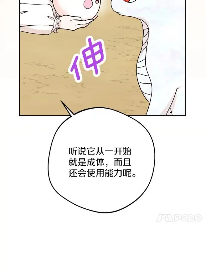 《私生公主的第十次人生》41.神兽九尾狐图30