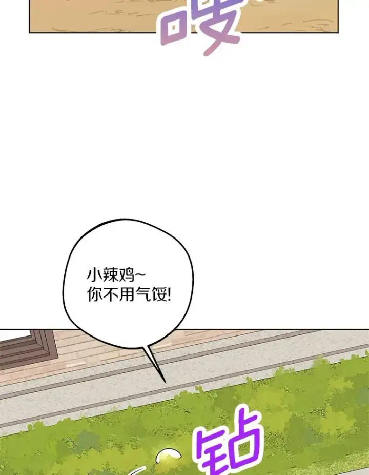 《私生公主的第十次人生》41.神兽九尾狐图35