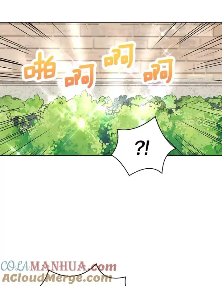 《私生公主的第十次人生》41.神兽九尾狐图37