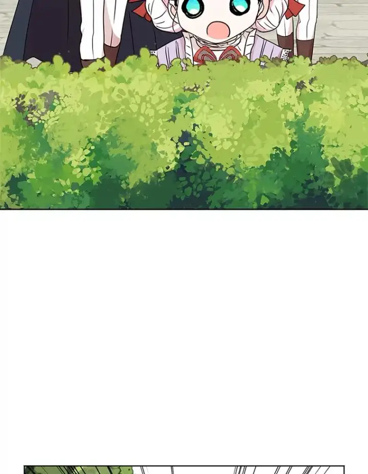 《私生公主的第十次人生》41.神兽九尾狐图42