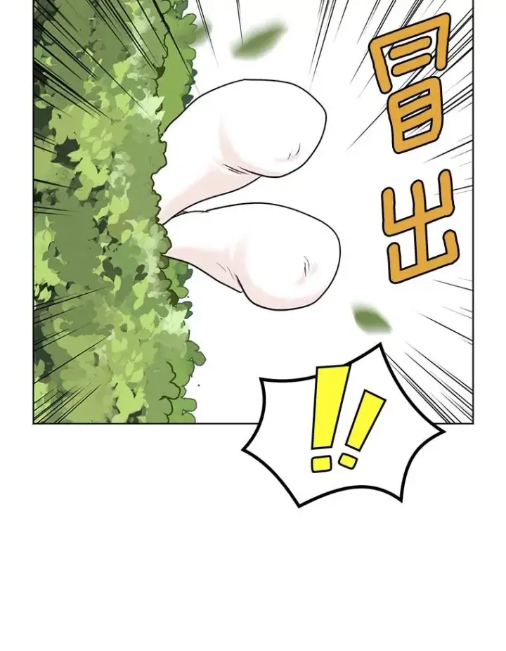《私生公主的第十次人生》41.神兽九尾狐图43