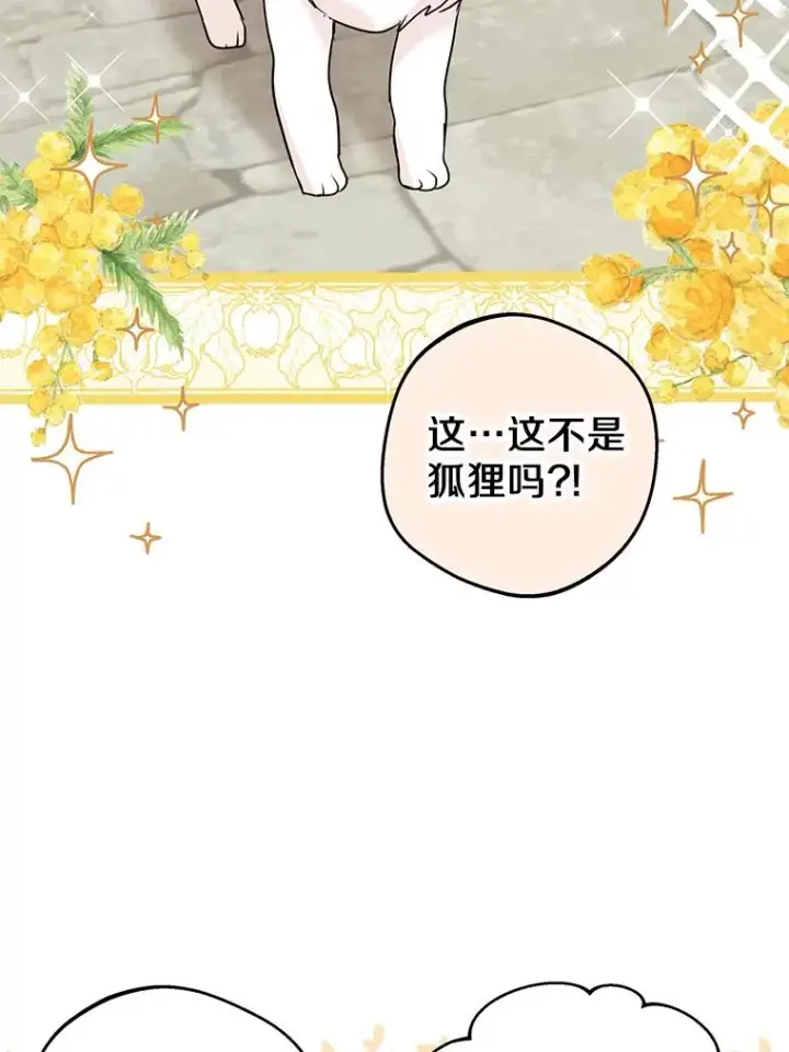 《私生公主的第十次人生》41.神兽九尾狐图48