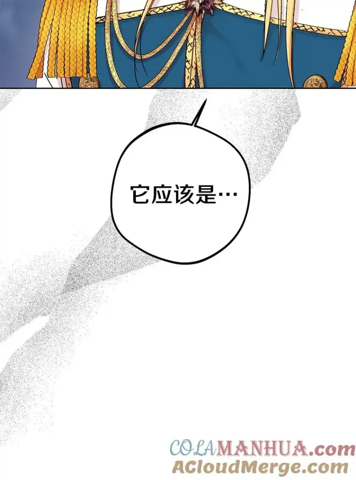 《私生公主的第十次人生》41.神兽九尾狐图57