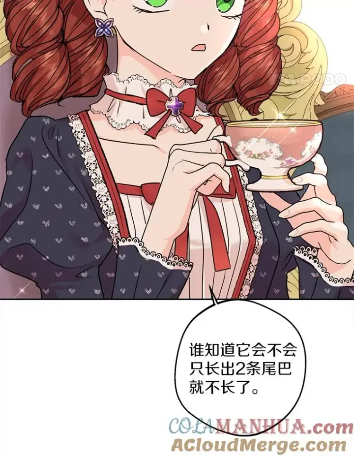 《私生公主的第十次人生》41.神兽九尾狐图65