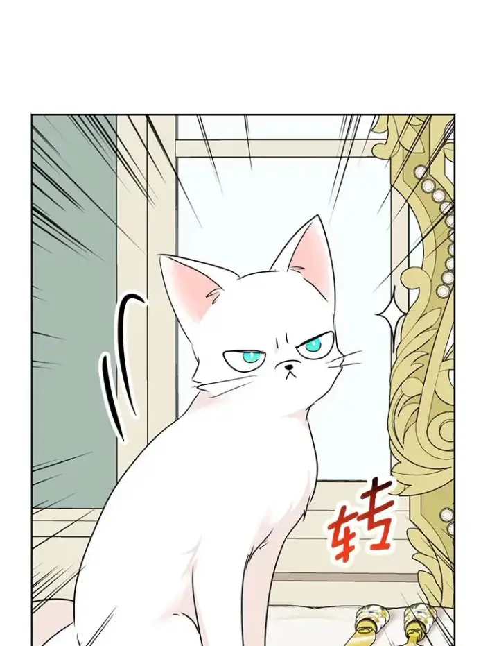 《私生公主的第十次人生》41.神兽九尾狐图66