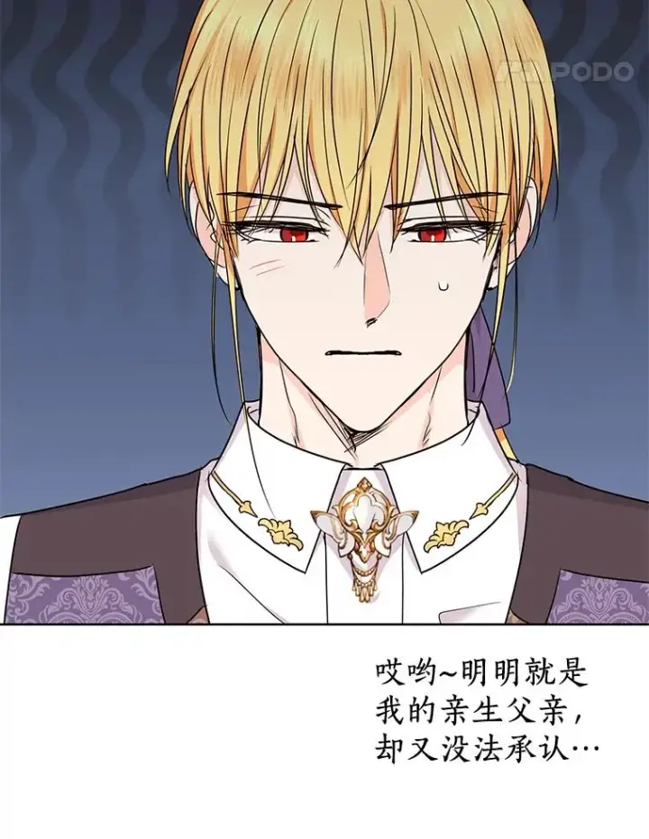 《私生公主的第十次人生》41.神兽九尾狐图75