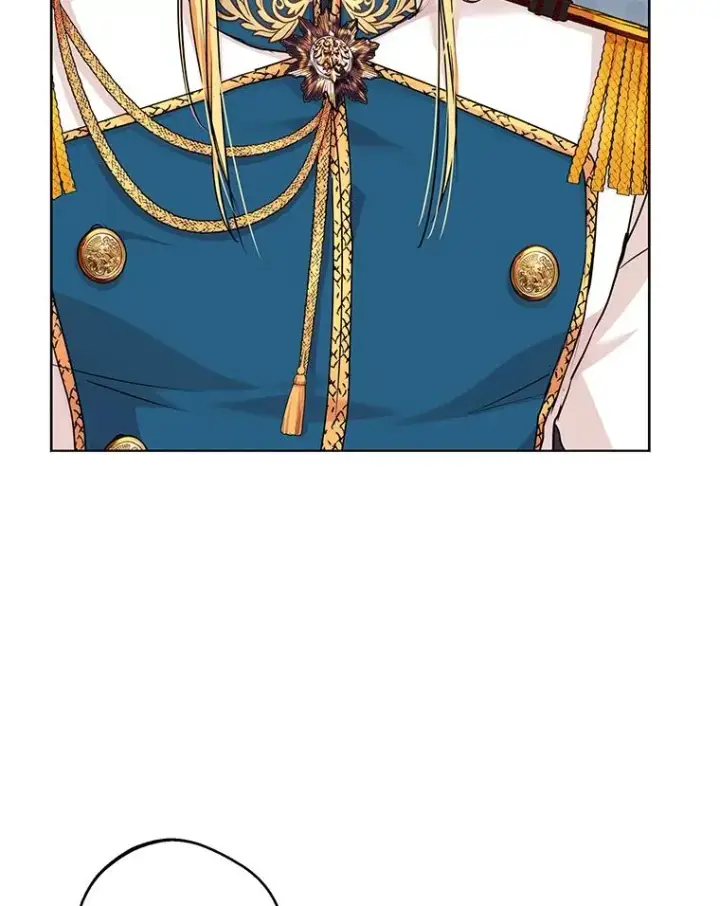 《私生公主的第十次人生》41.神兽九尾狐图8