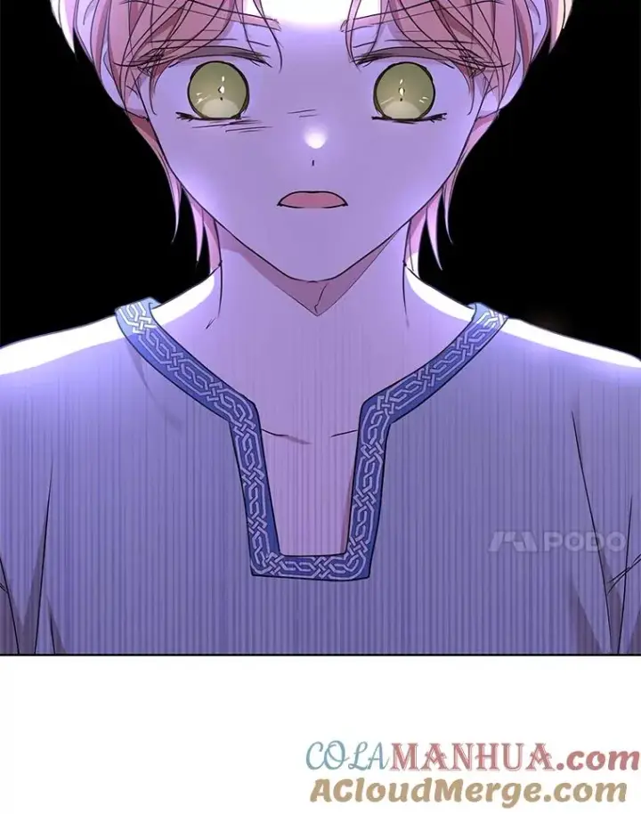 《私生公主的第十次人生》43.出现意外图101
