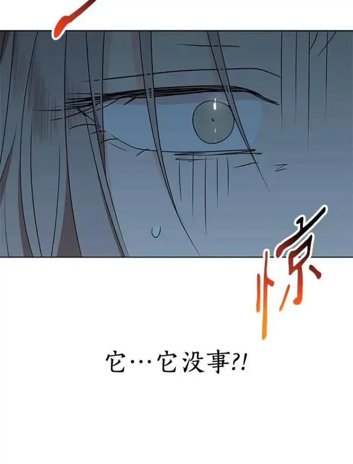 《私生公主的第十次人生》44.解救图27