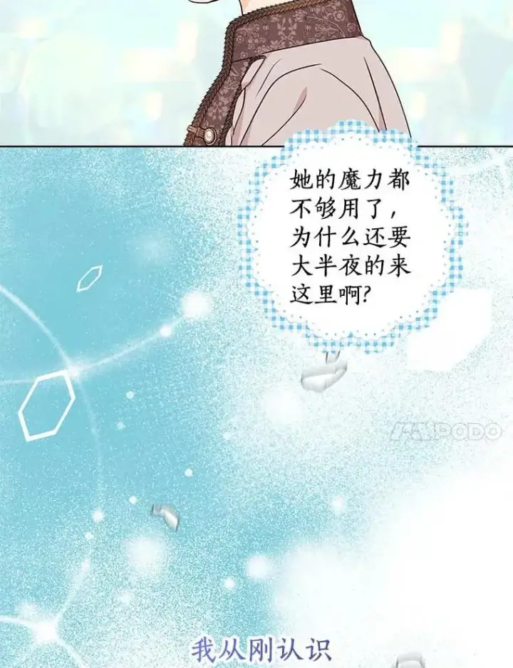《私生公主的第十次人生》45.负责图108