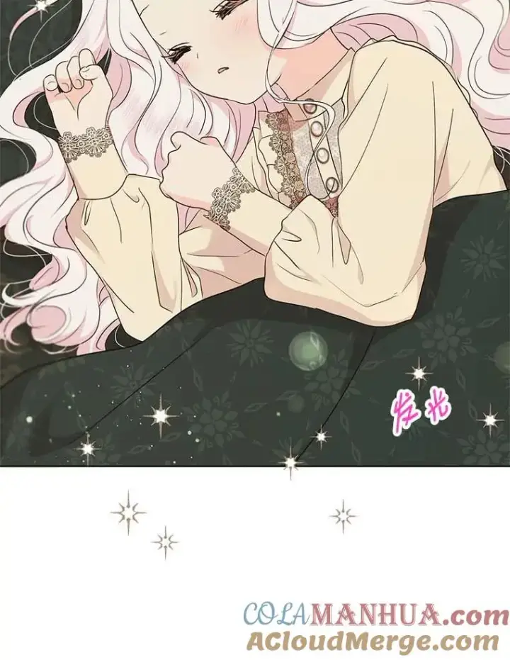 《私生公主的第十次人生》45.负责图117