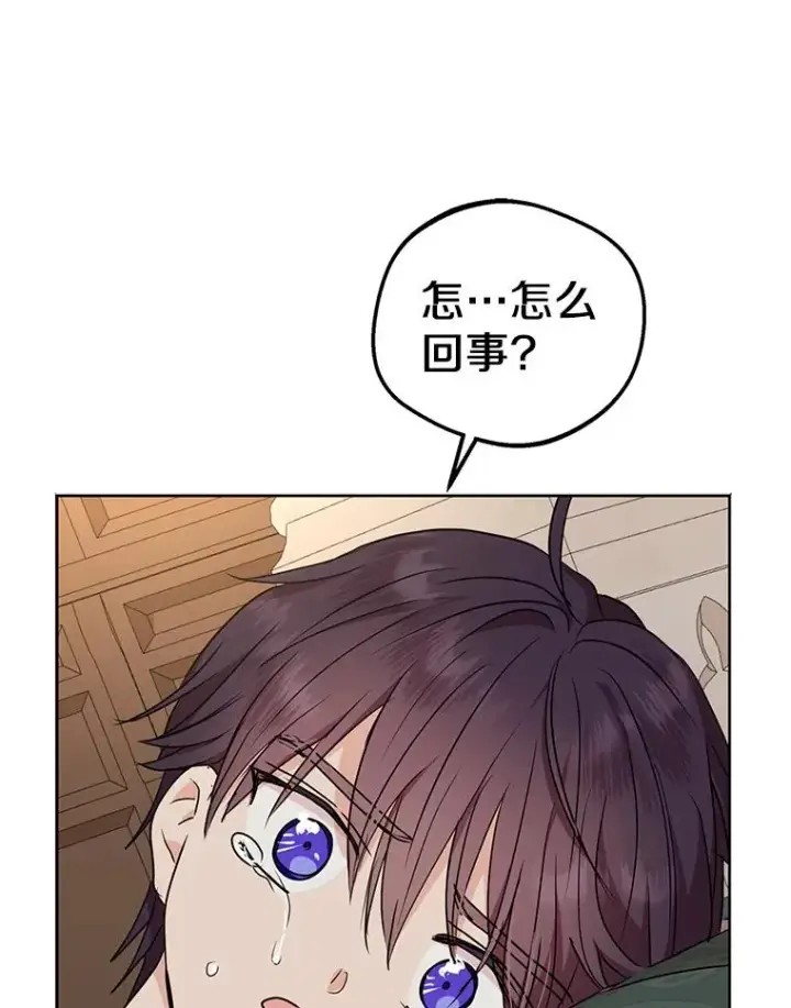 《私生公主的第十次人生》45.负责图80