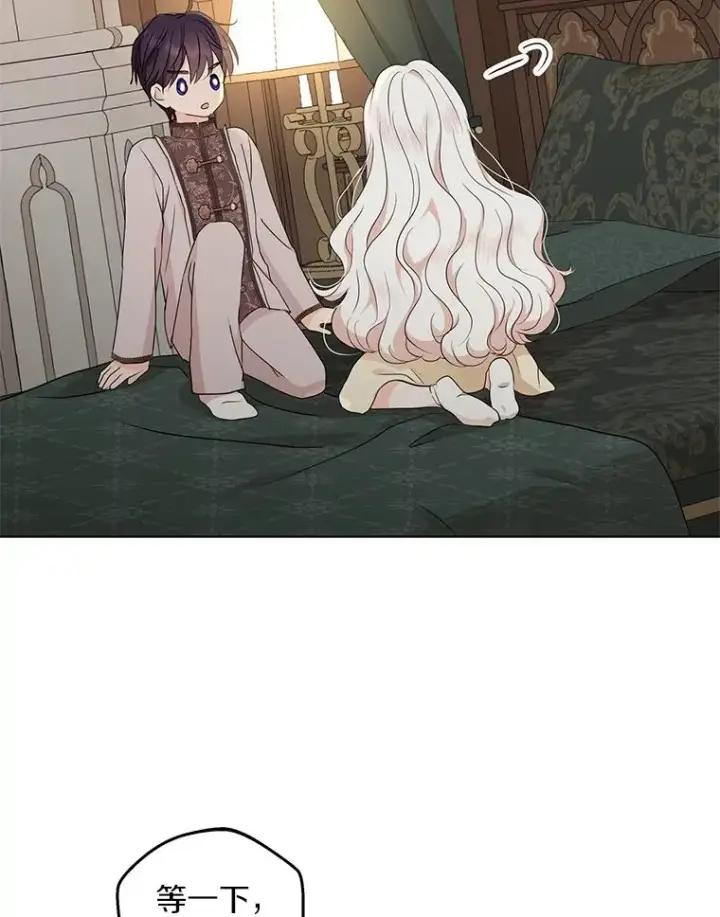 《私生公主的第十次人生》45.负责图91