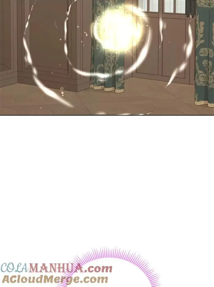 《私生公主的第十次人生》46.回忆图49