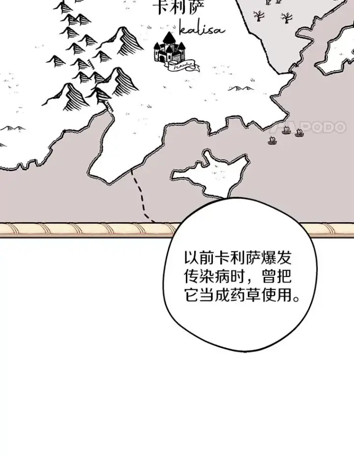 《私生公主的第十次人生》48.新的人生图75