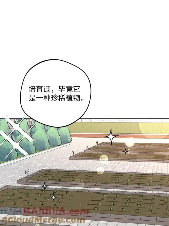 《私生公主的第十次人生》48.新的人生图77