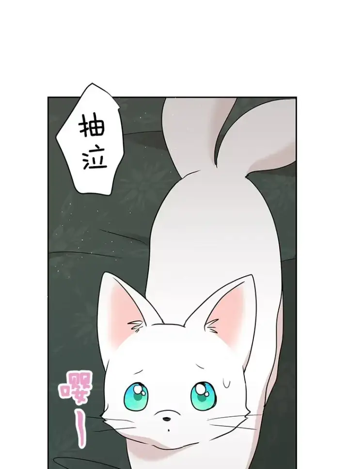 《私生公主的第十次人生》52.使节团到访图30