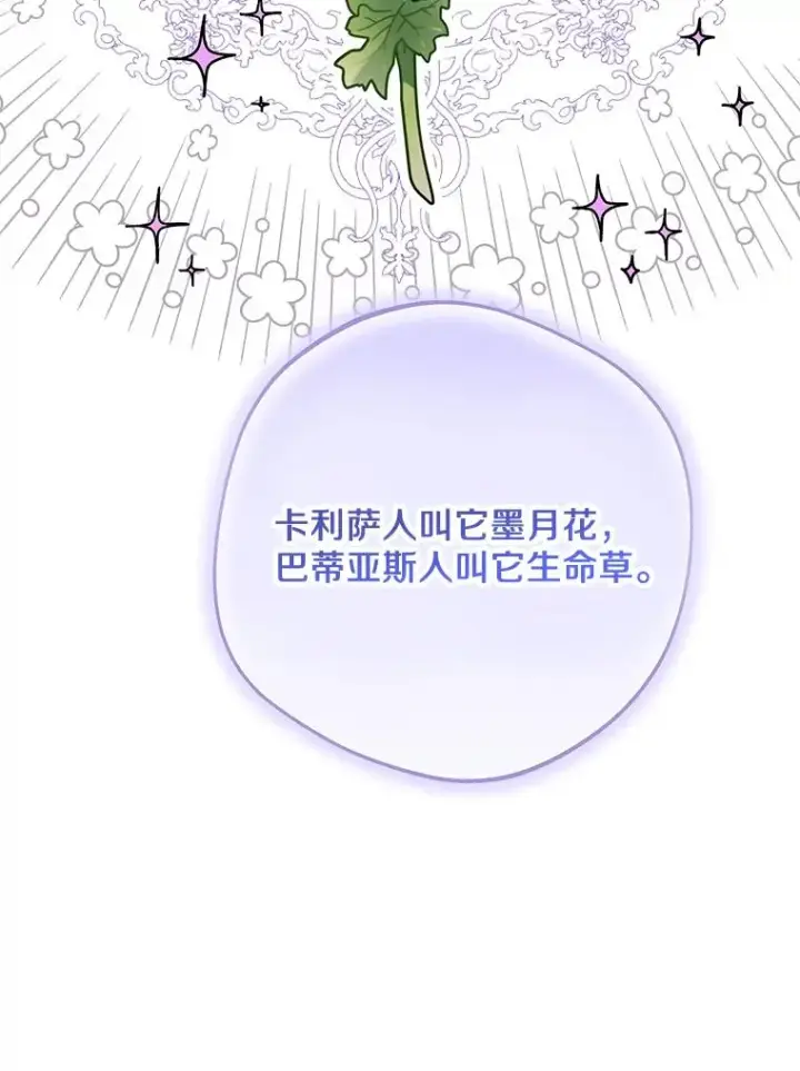 《私生公主的第十次人生》57.毫无天赋图56