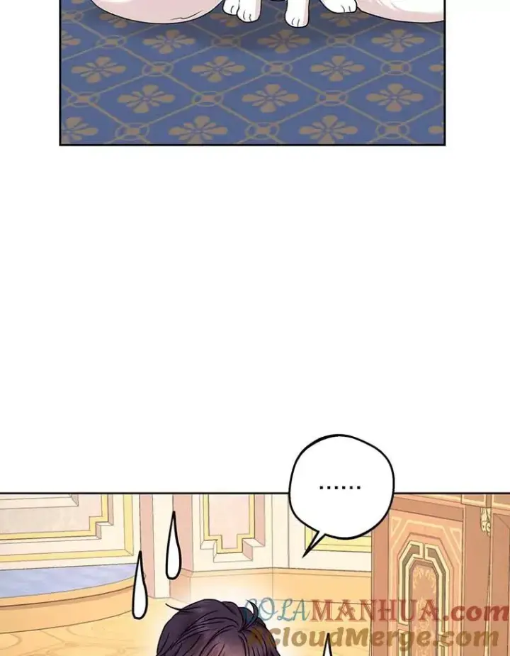 《私生公主的第十次人生》65.退休计划图13