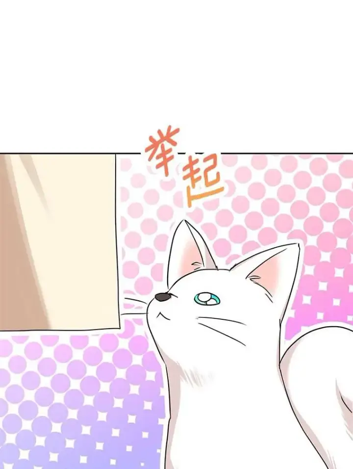 《私生公主的第十次人生》65.退休计划图26