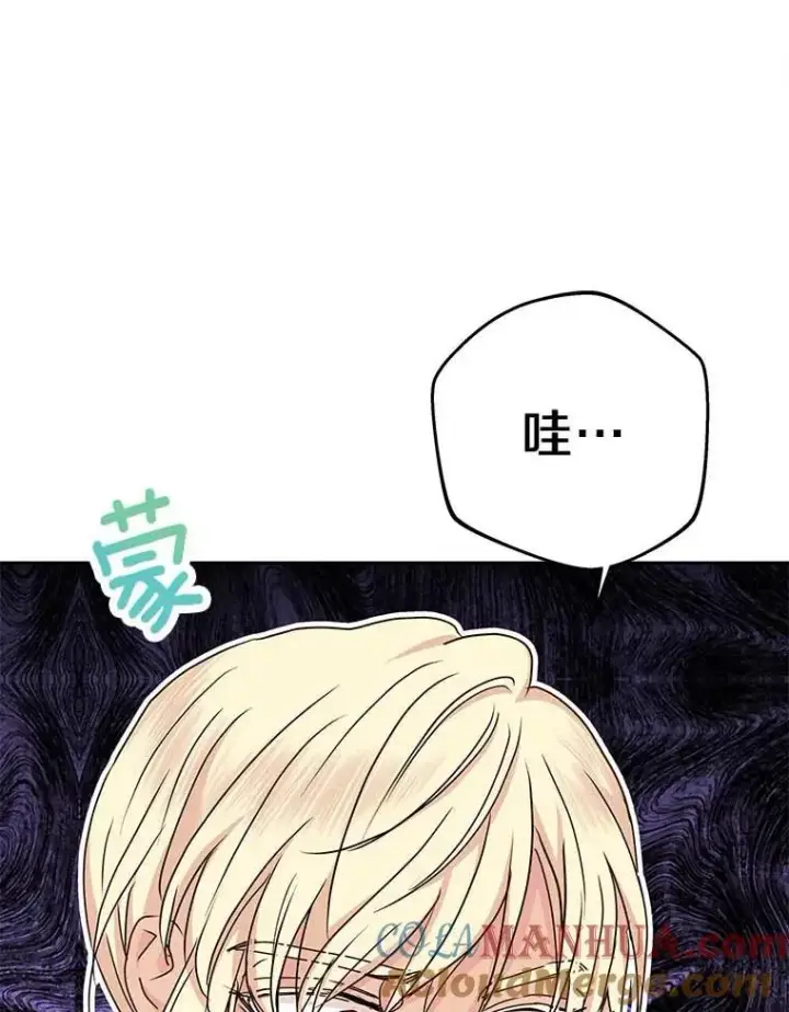《私生公主的第十次人生》65.退休计划图69