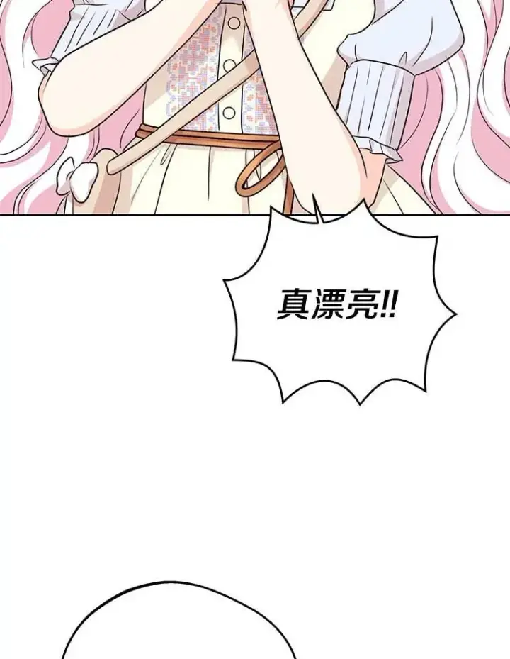 《私生公主的第十次人生》65.退休计划图98